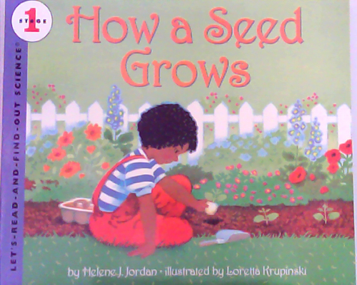 How a Seed Grows